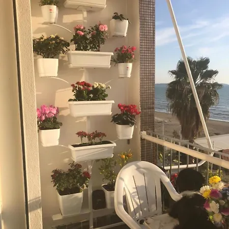 Sea & Sky View,